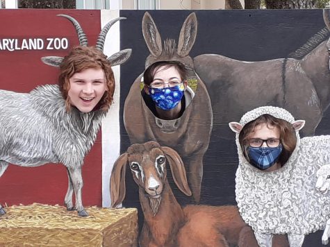 Declan Wilson, Ben Slaterbeck, and Caedon Vincent have a Maaa-rvelous time at the zoo.