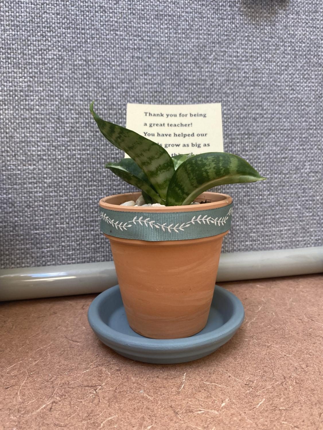 Teachers are Awesome